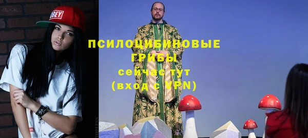сатива Жердевка