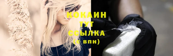 дмт Каменногорск