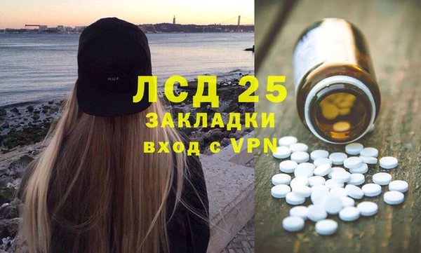 apvp Иннополис