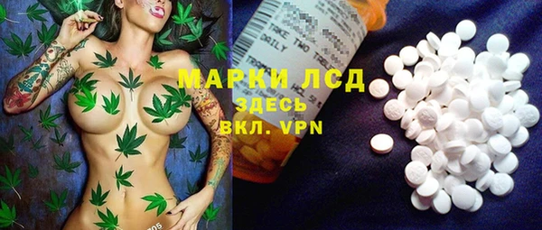 apvp Иннополис