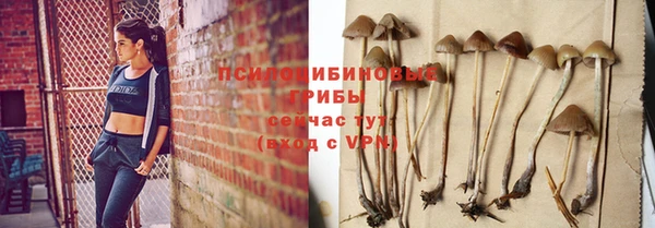 марки nbome Инсар