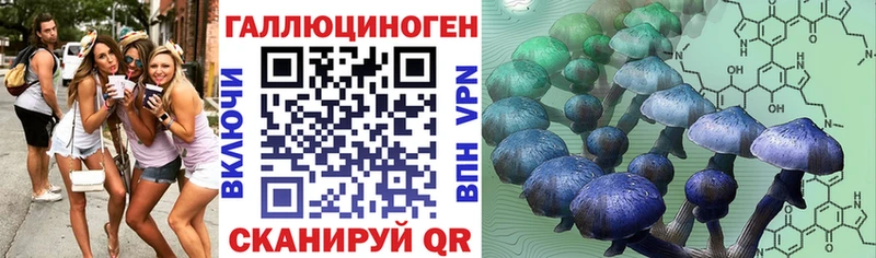 купить закладку  Гаджиево  Галлюциногенные грибы Cubensis 