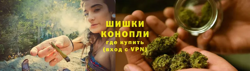 Конопля LSD WEED  где купить наркоту  Гаджиево 